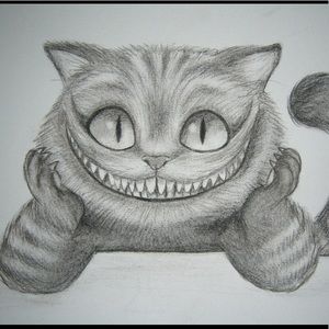 Meet your Posher, Lucy